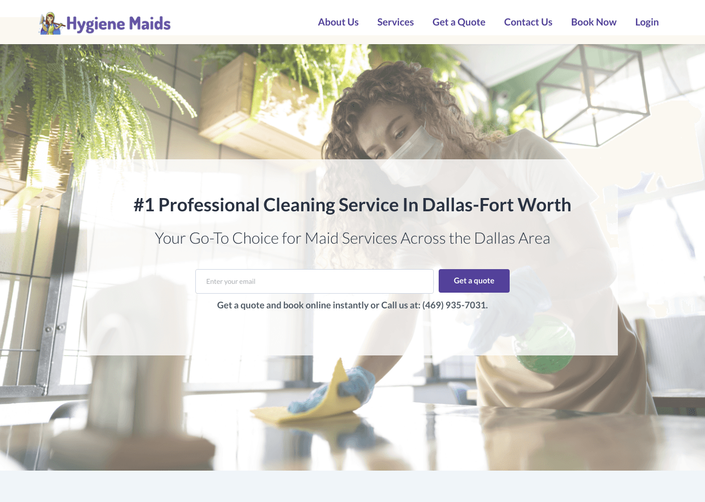 Hygiene Maids website screenshot